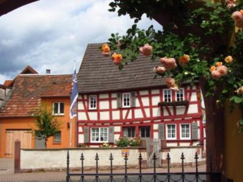 Haus Nostalgie Apartment Kleinheubach Ruang foto